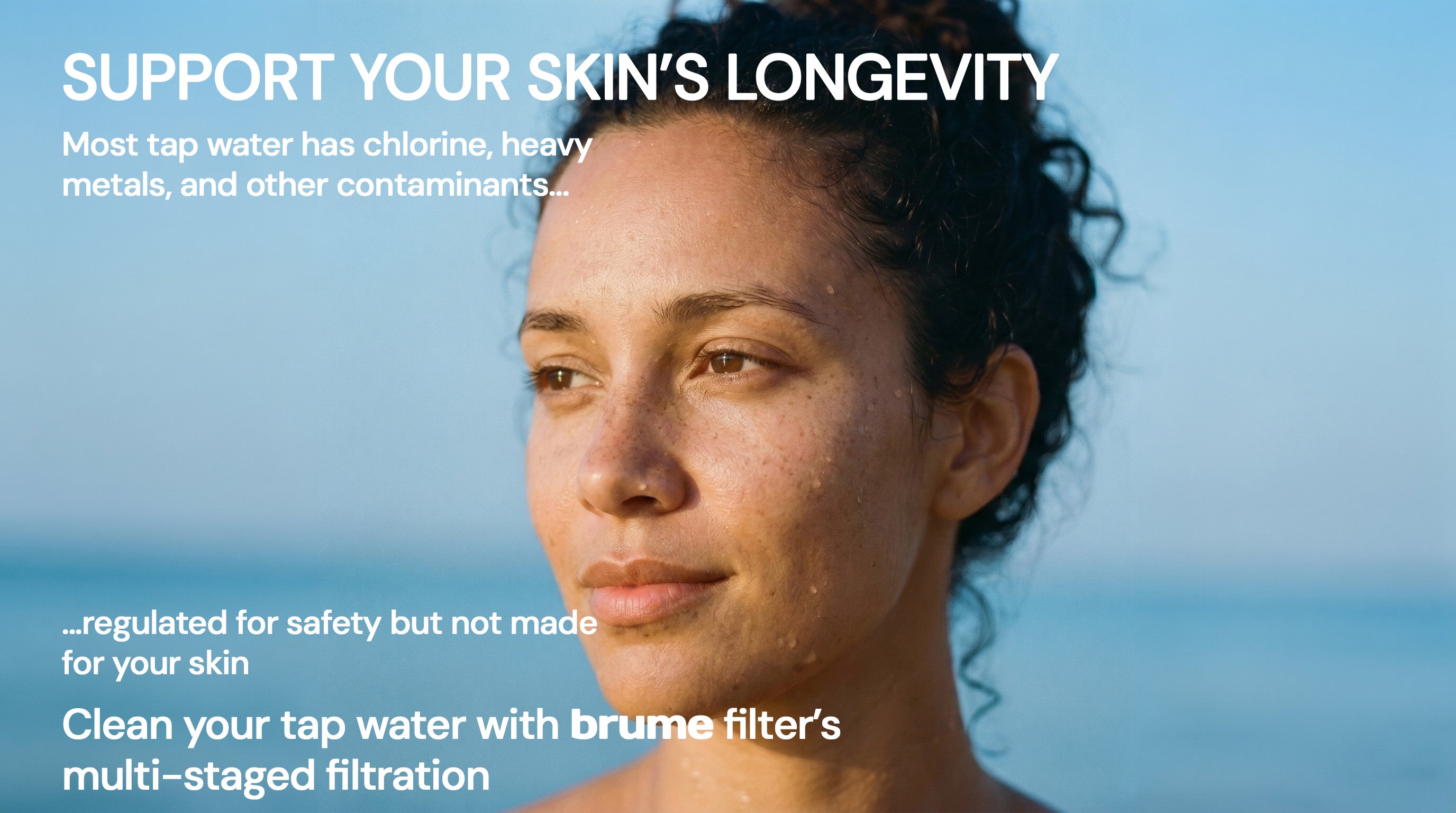 brume filter details
